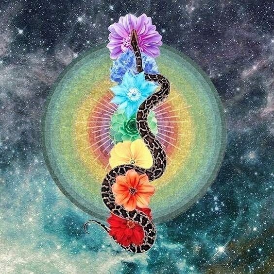 The health map in the Destiny Matrix: how to read the chakras